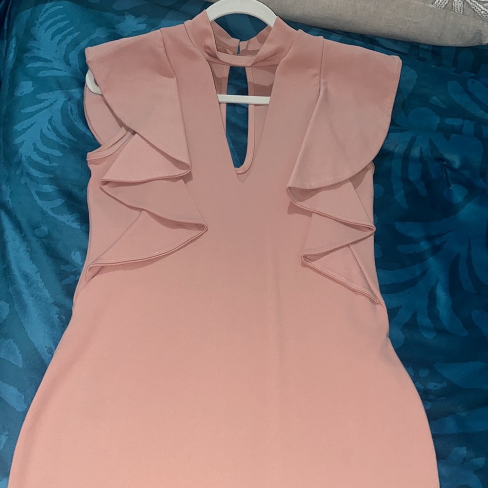 Blush Pink Fitted Dress